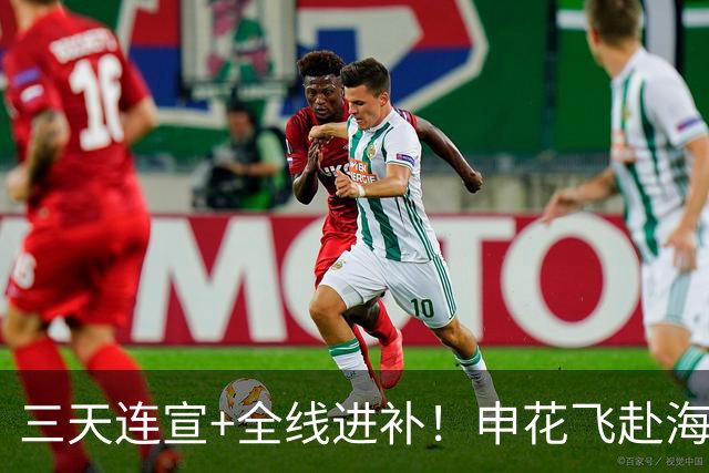 三天连宣+全线进补！申花飞赴海口启动新赛季