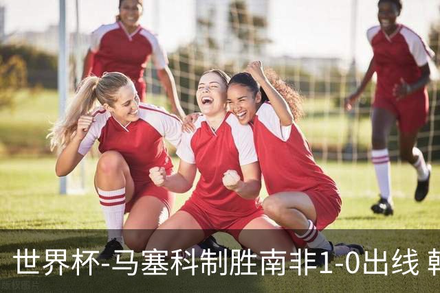世界杯-马塞科制胜南非1-0出线 韩国积3分获小组第三待定