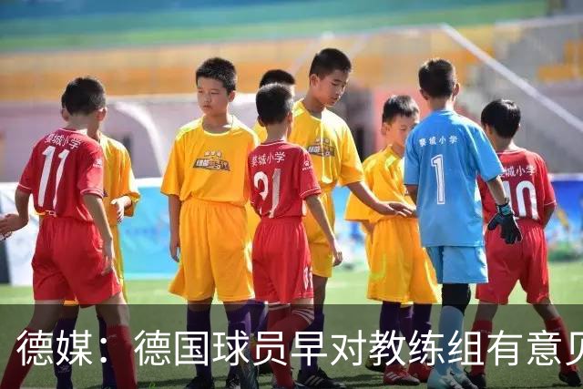 德媒：德国球员早对教练组有意见，前助教瓦格纳讲战术比纳帅好懂